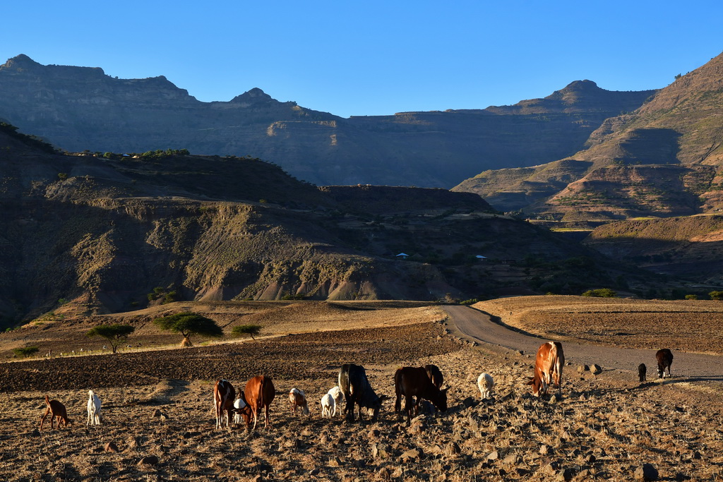 Mekele to Lalibela